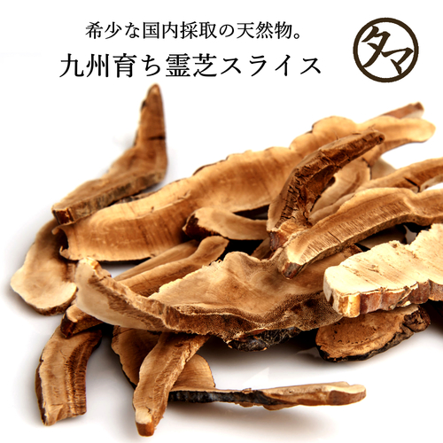 霊芝 健康食品 活龍 煎じ品 スライス切り 霊芝(れいし) 乾燥スライス 100g | タマチャンショップ 公式オンライン