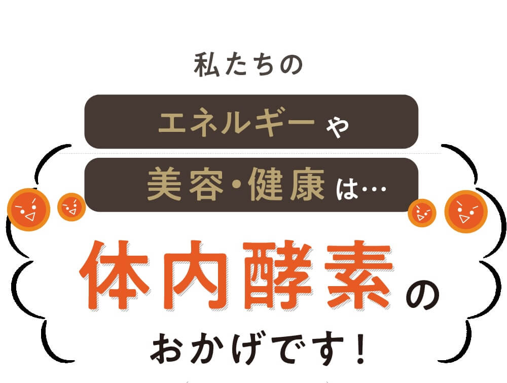 みらいの完全栄養食ダイエット
