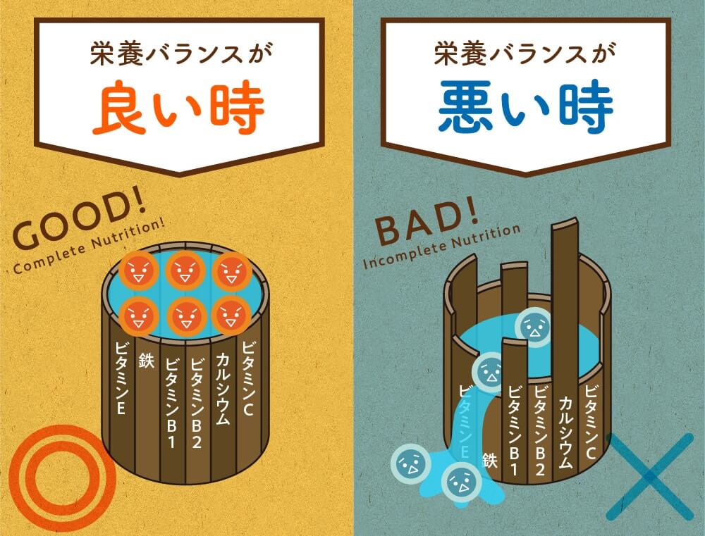 みらいの完全栄養食ダイエット