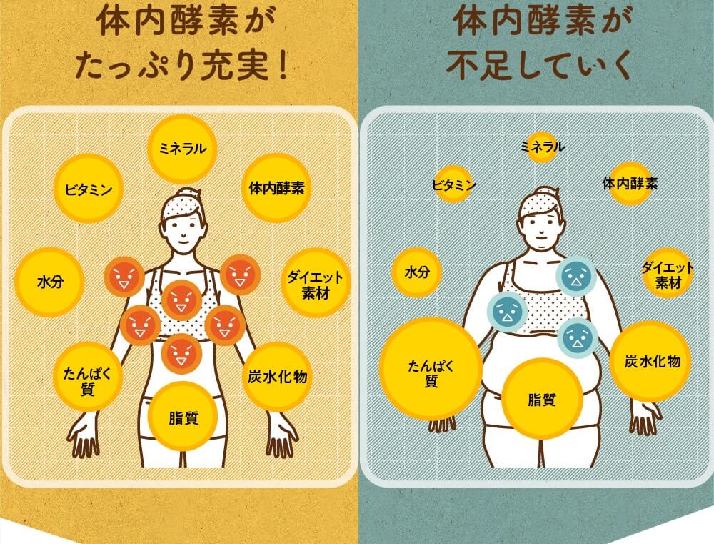みらいの完全栄養食ダイエット