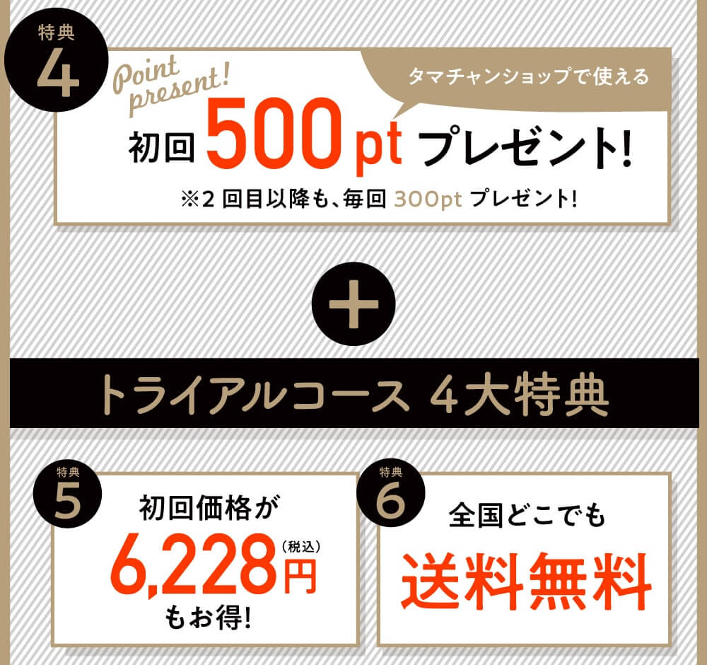 みらいの完全栄養食ダイエット