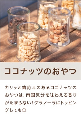 ココナッツのおやつ