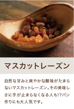 マスカットレーズン