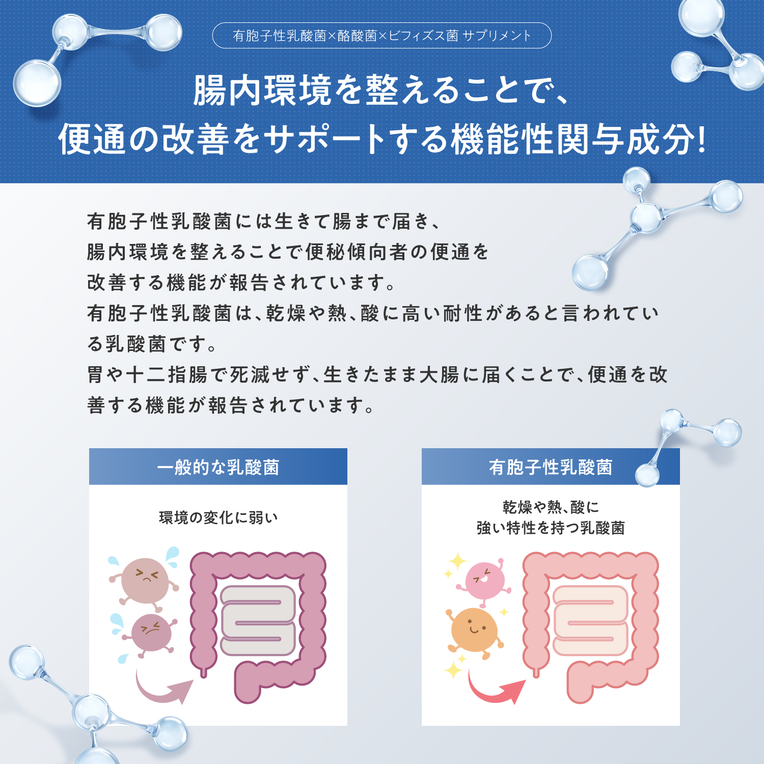 BIFIRALプラス 有胞子