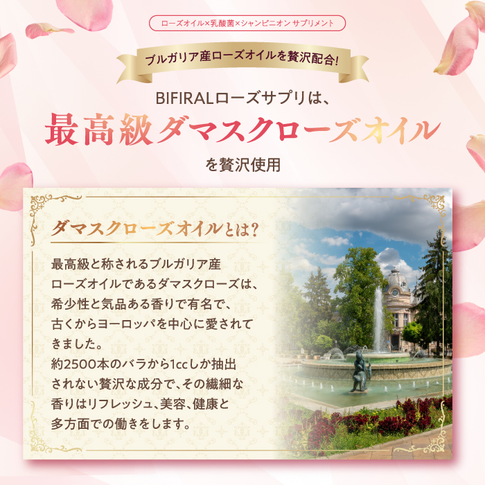 BOFIRALブリリアント ローズ 