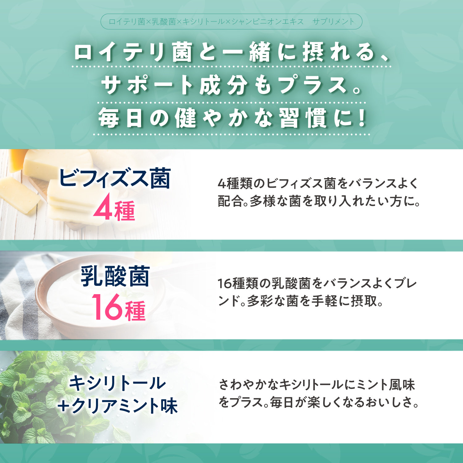 BIFIRAlロイテリ菌 ミント味