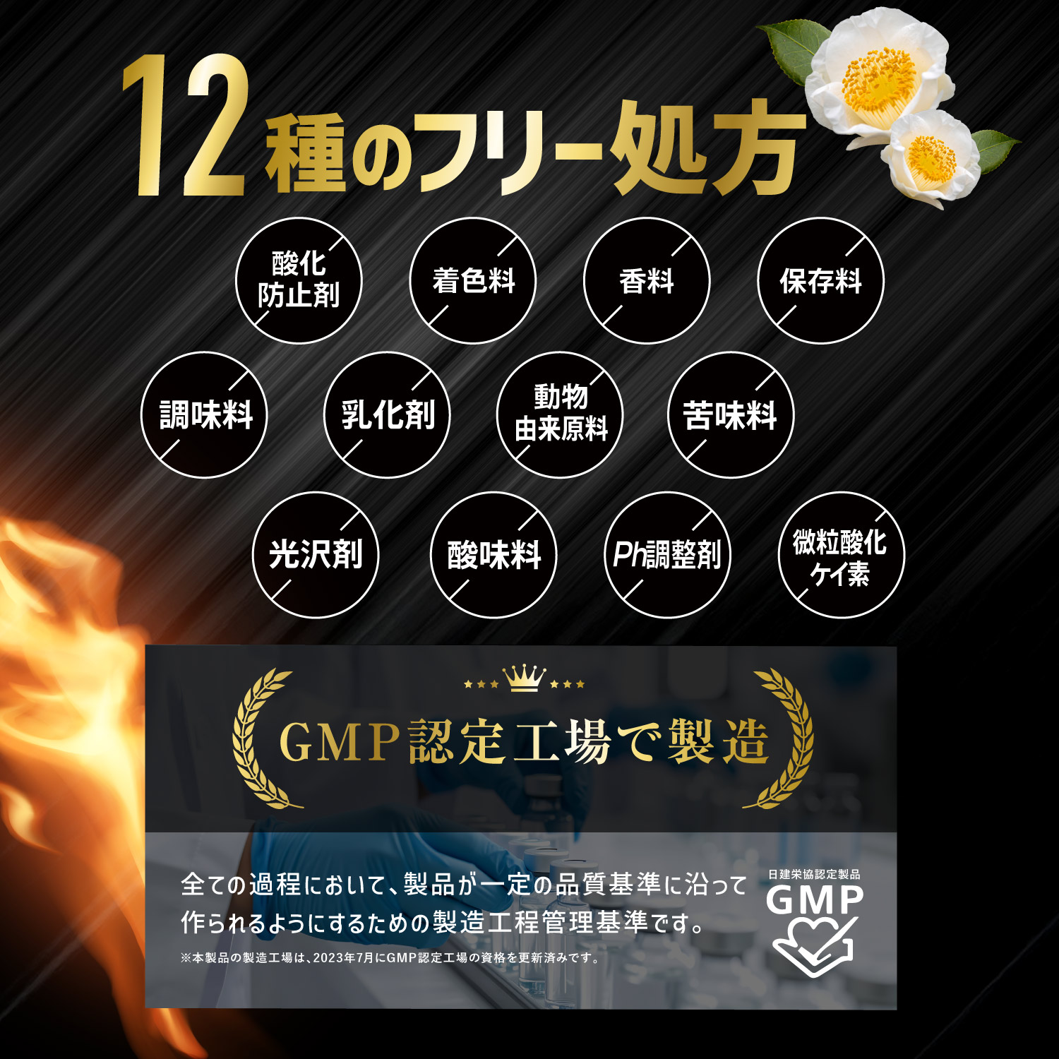 カロバーンEX Premium