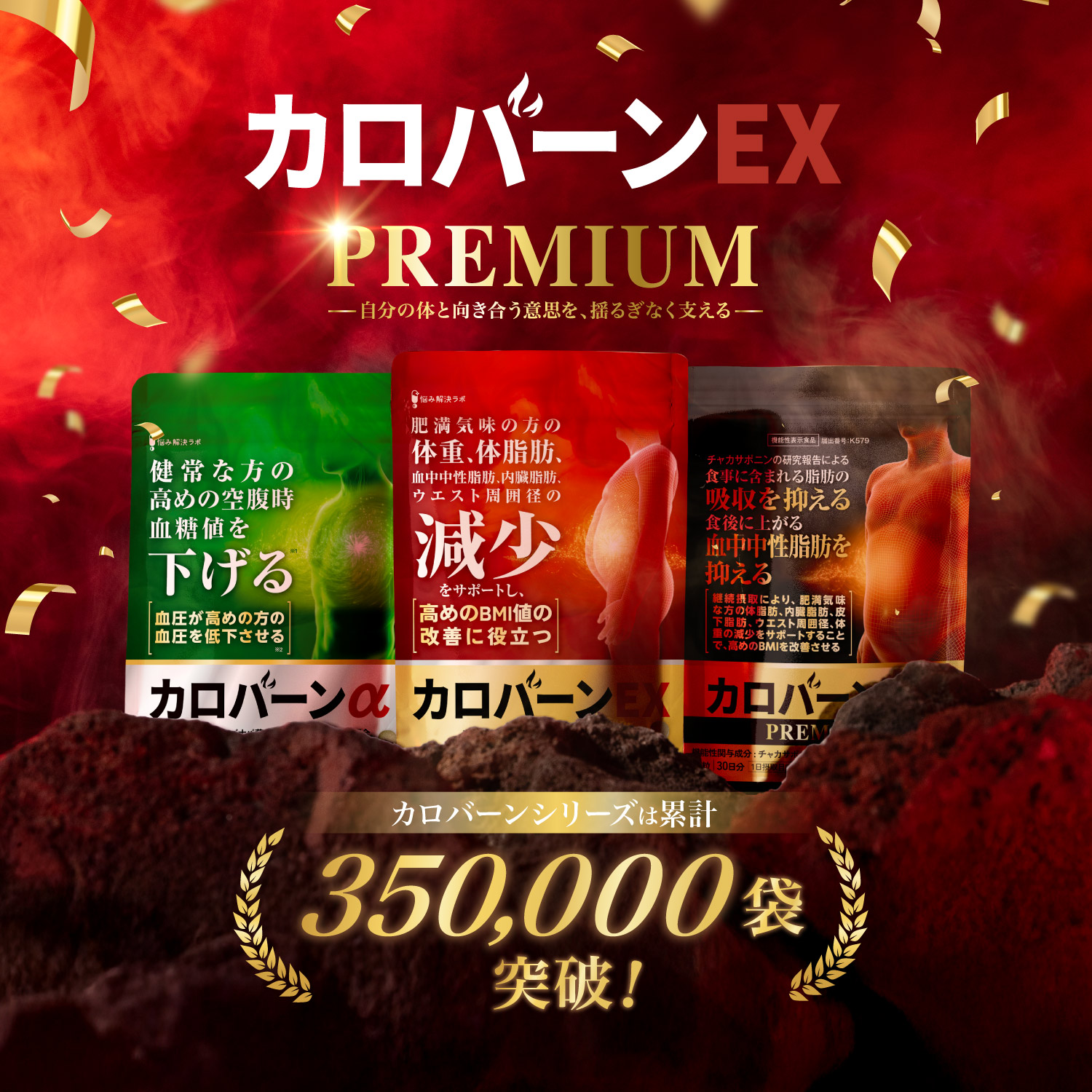 カロバーンEX Premium