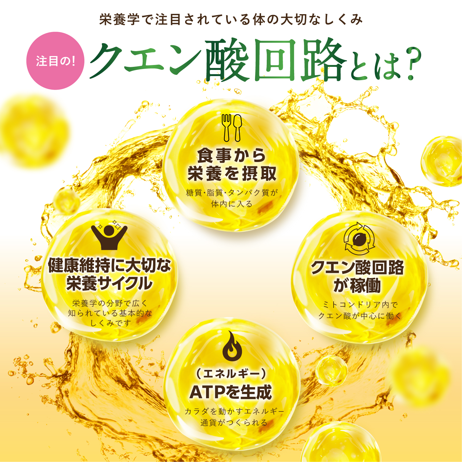 クエン酸のチカラ
