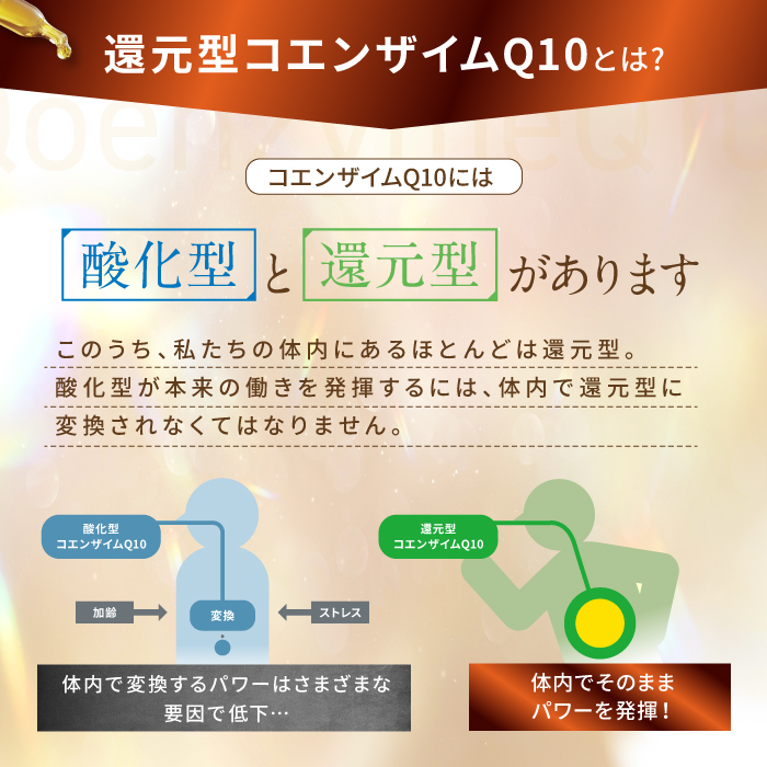 PUREVITA還元型コエンザイムQ10