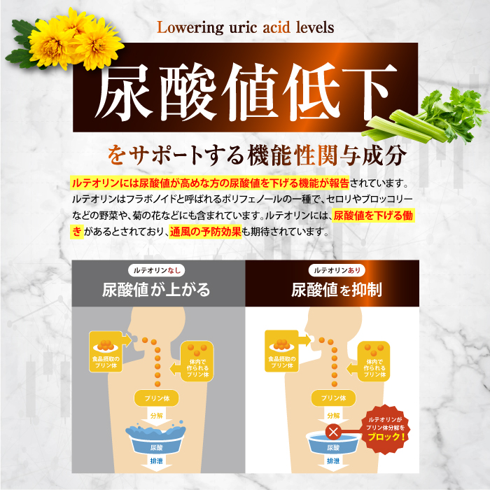 カロバーン尿酸値α