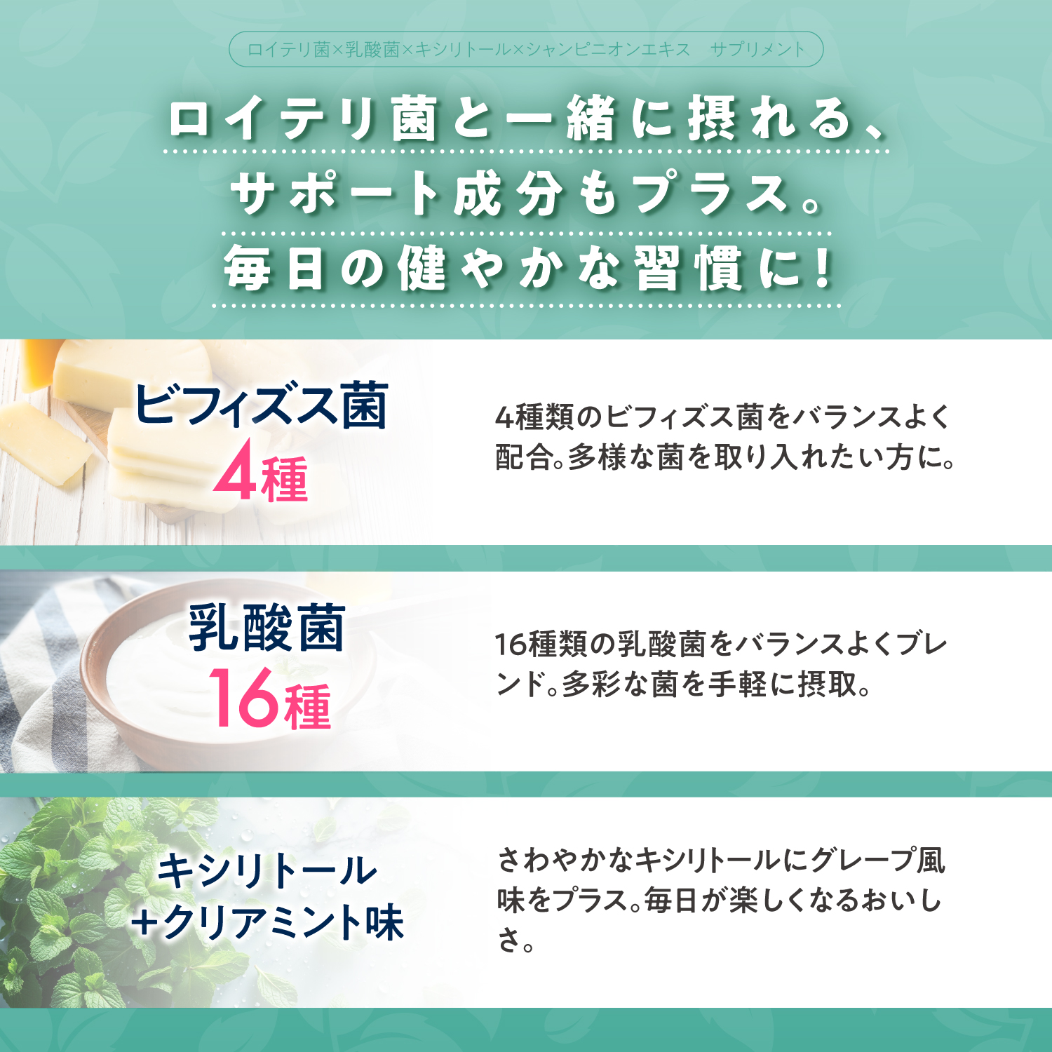 BIFIRAlロイテリ菌 ミント味