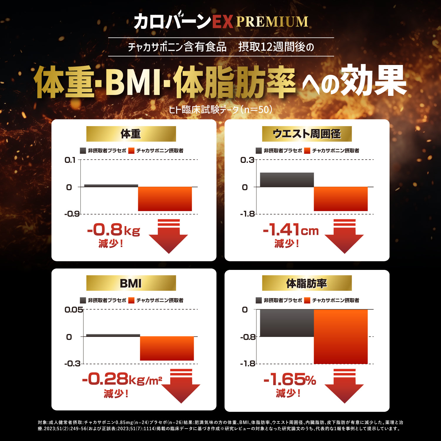 カロバーンEX Premium
