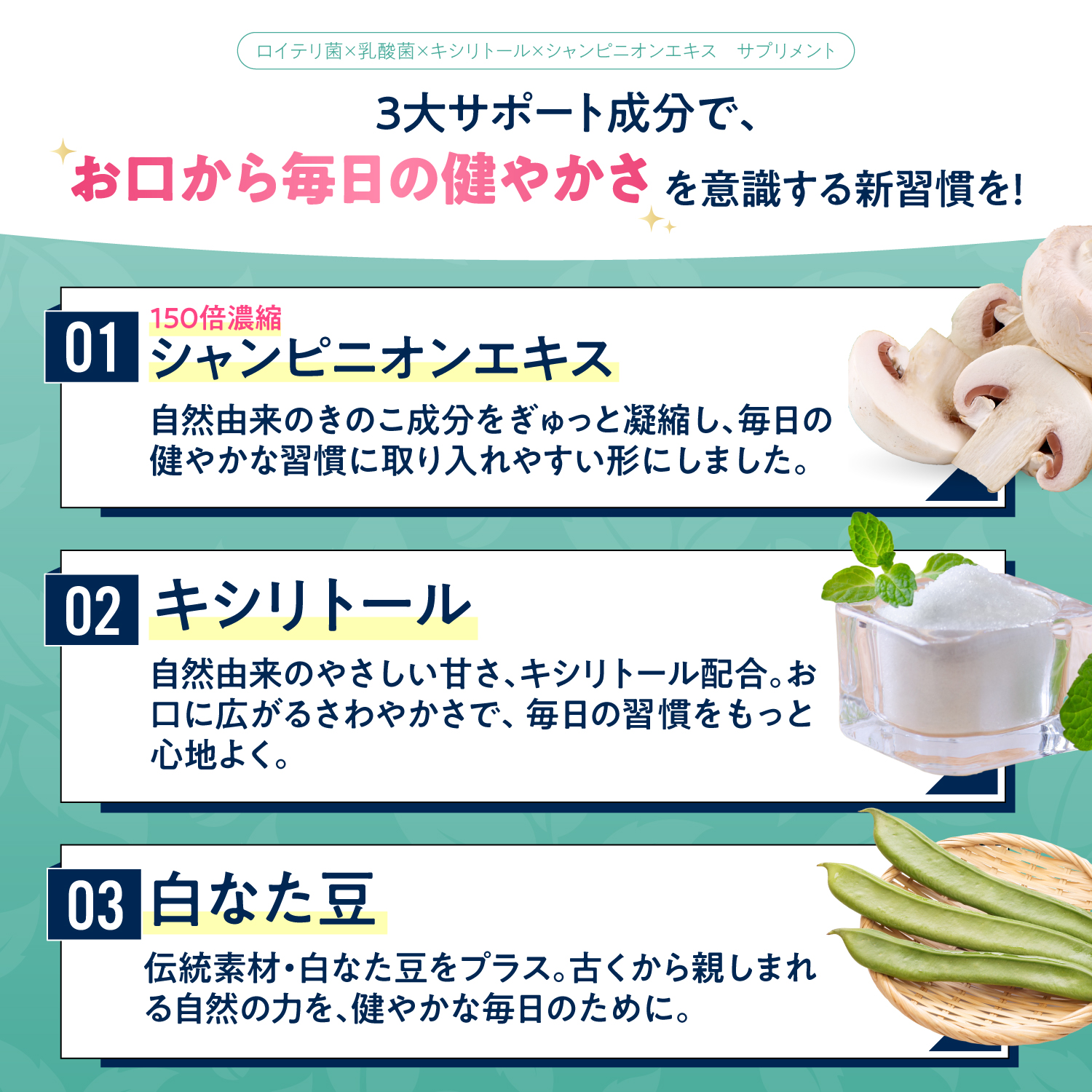 BIFIRAlロイテリ菌 ミント味