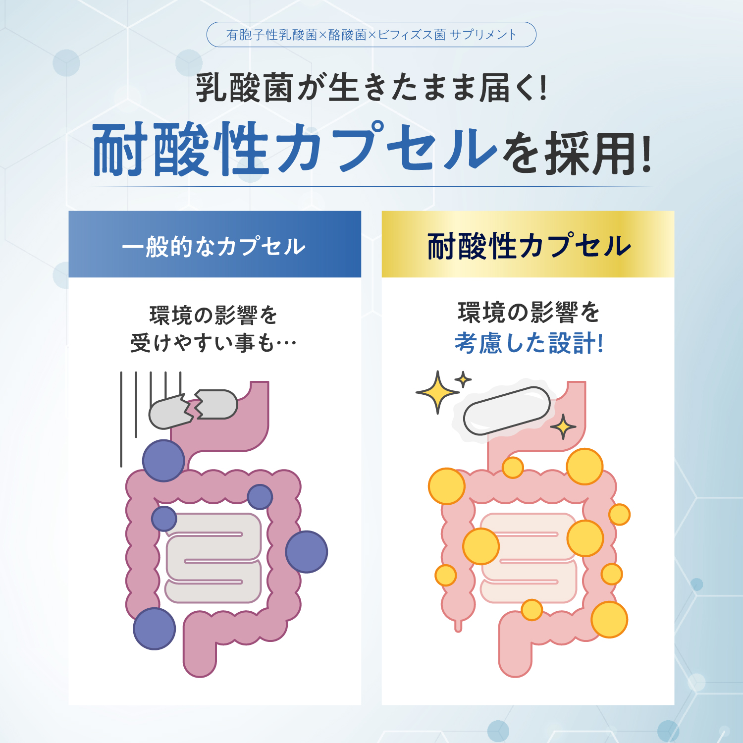 BIFIRALプラス 有胞子
