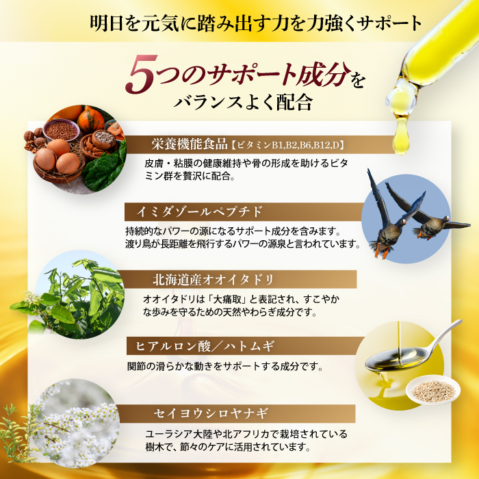 グルコサミンのチカラ