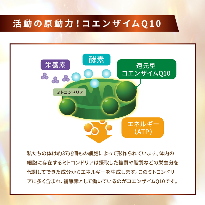 PUREVITA還元型コエンザイムQ10