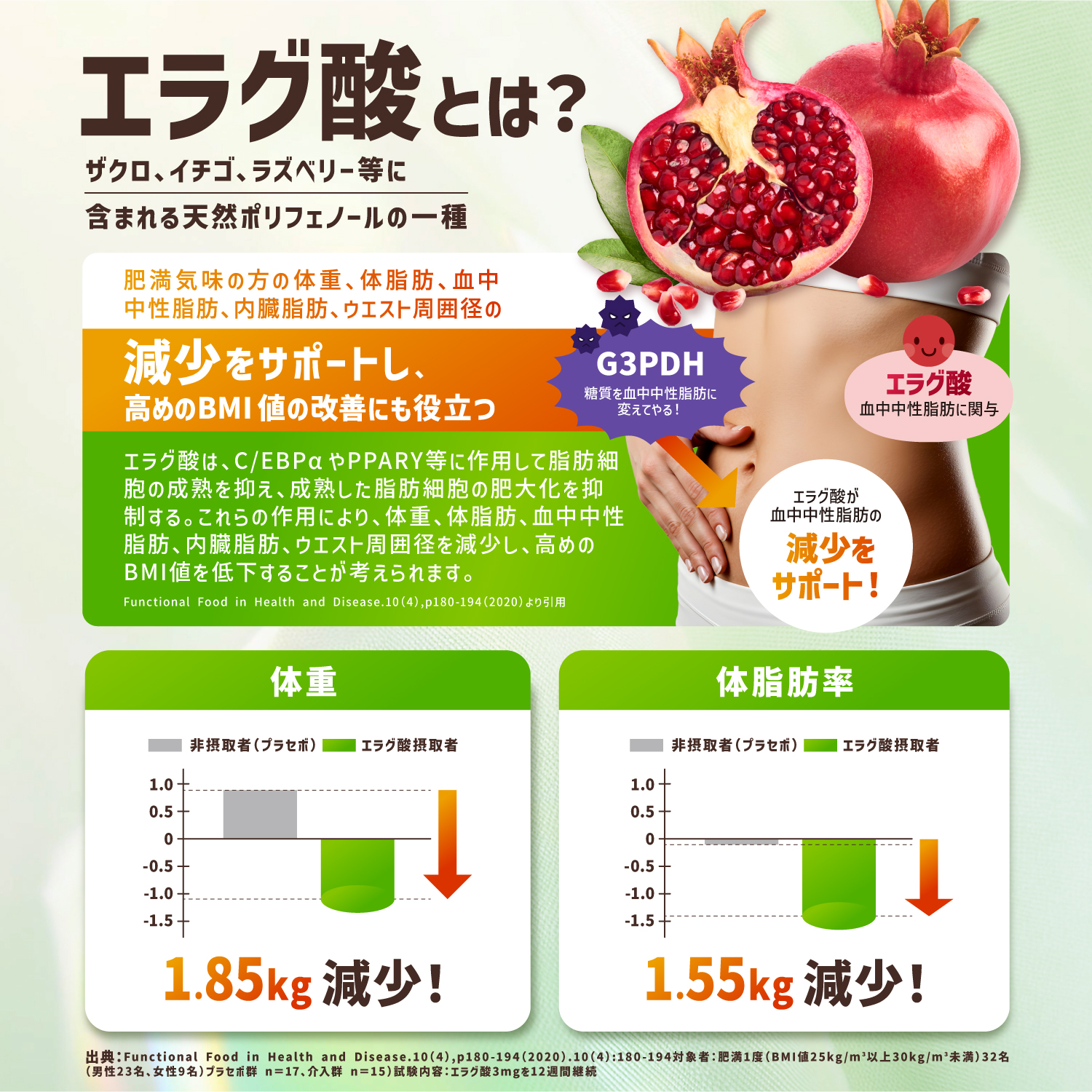 カロバーンα スルフォラファン
