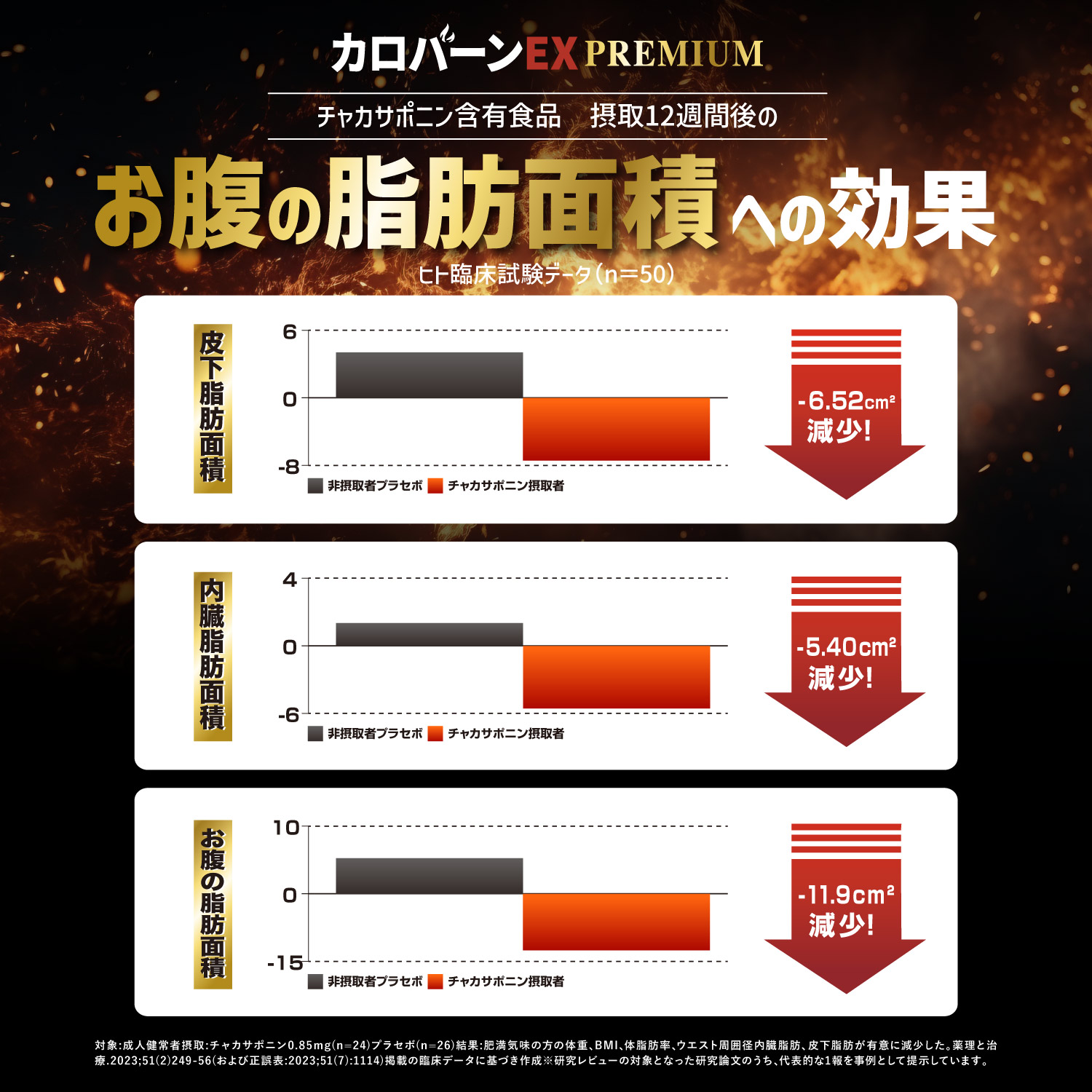 カロバーンEX Premium