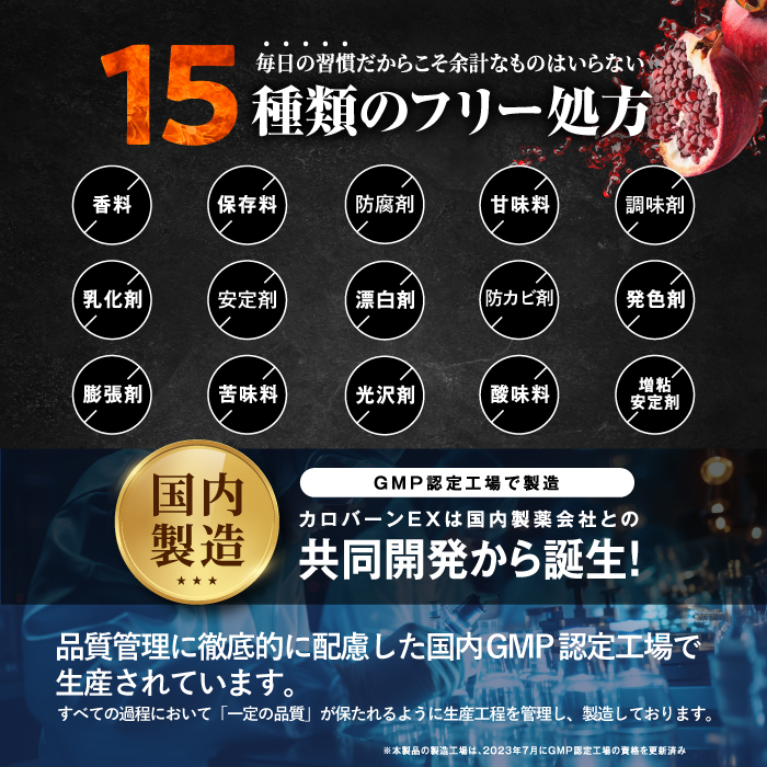 カロバーンEX
