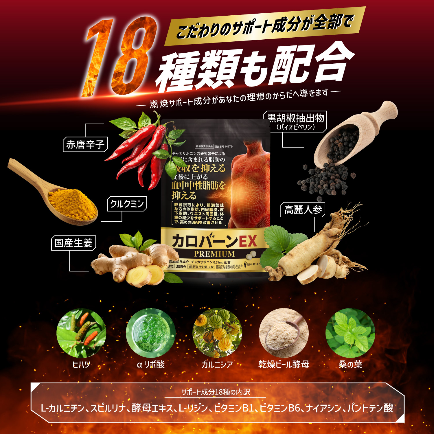 カロバーンEX Premium