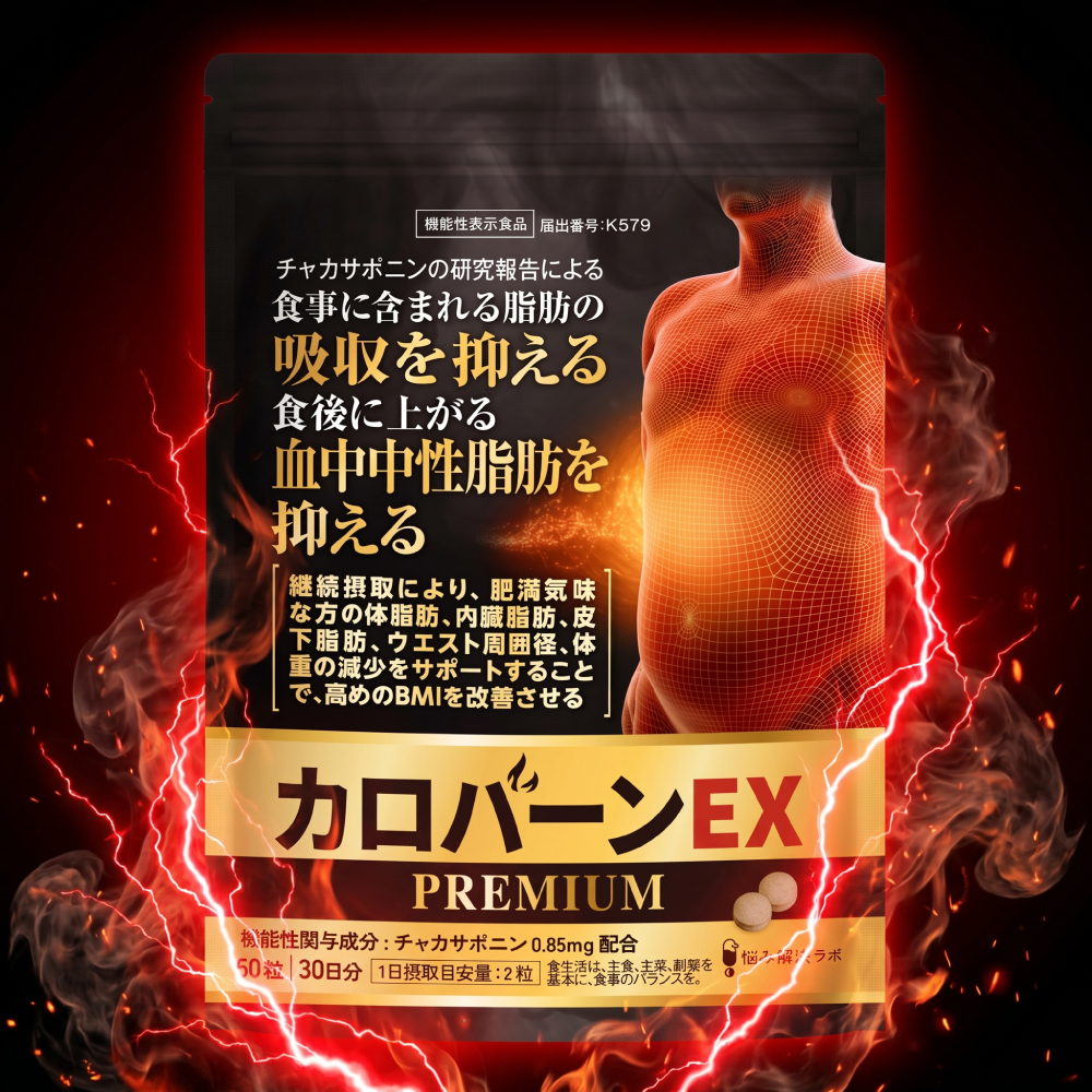 カロバーンEX Premium