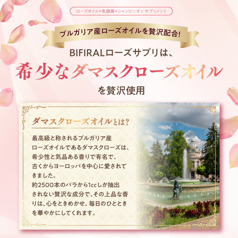 BOFIRALブリリアント ローズ 