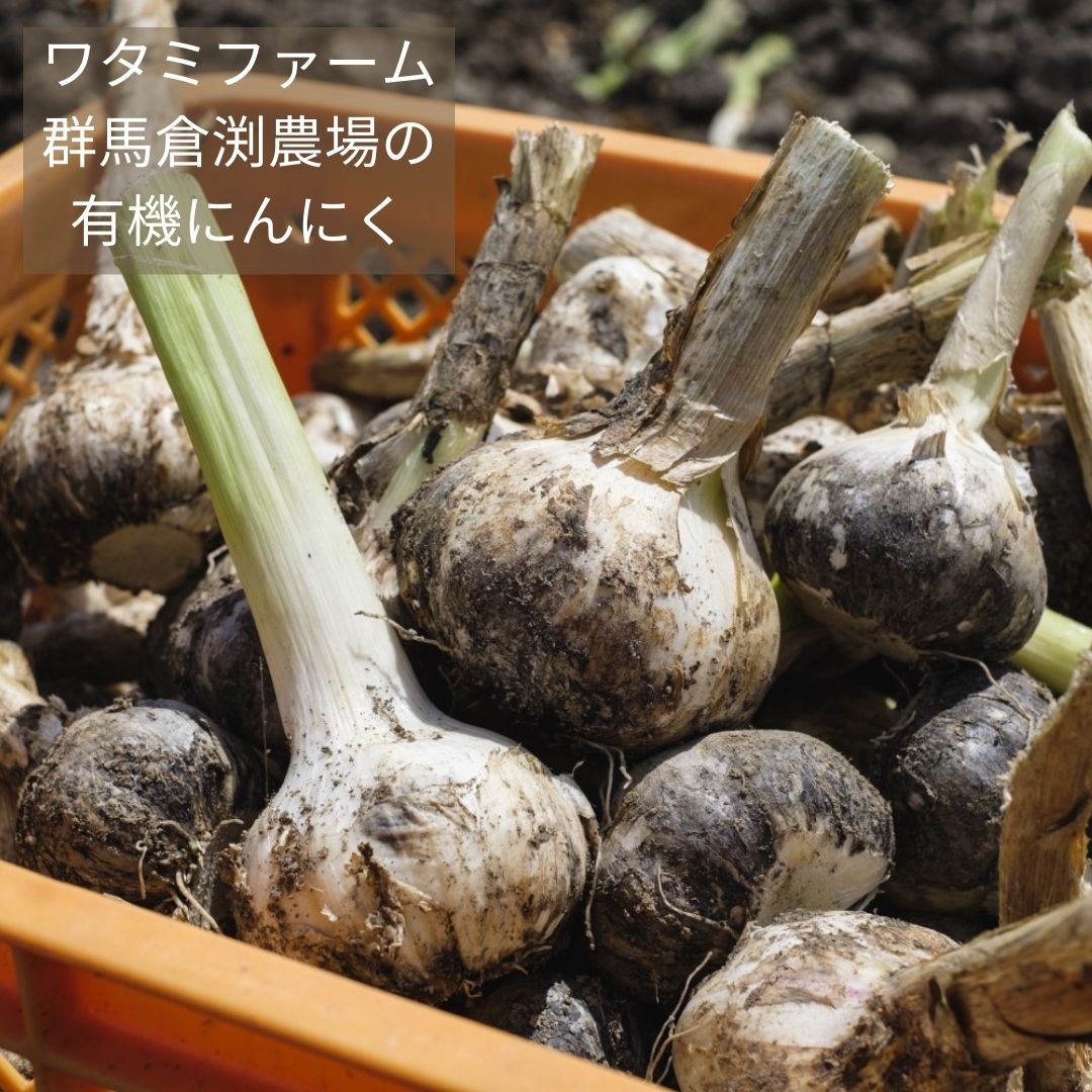 有機黒にんにく　（バラ）  80g