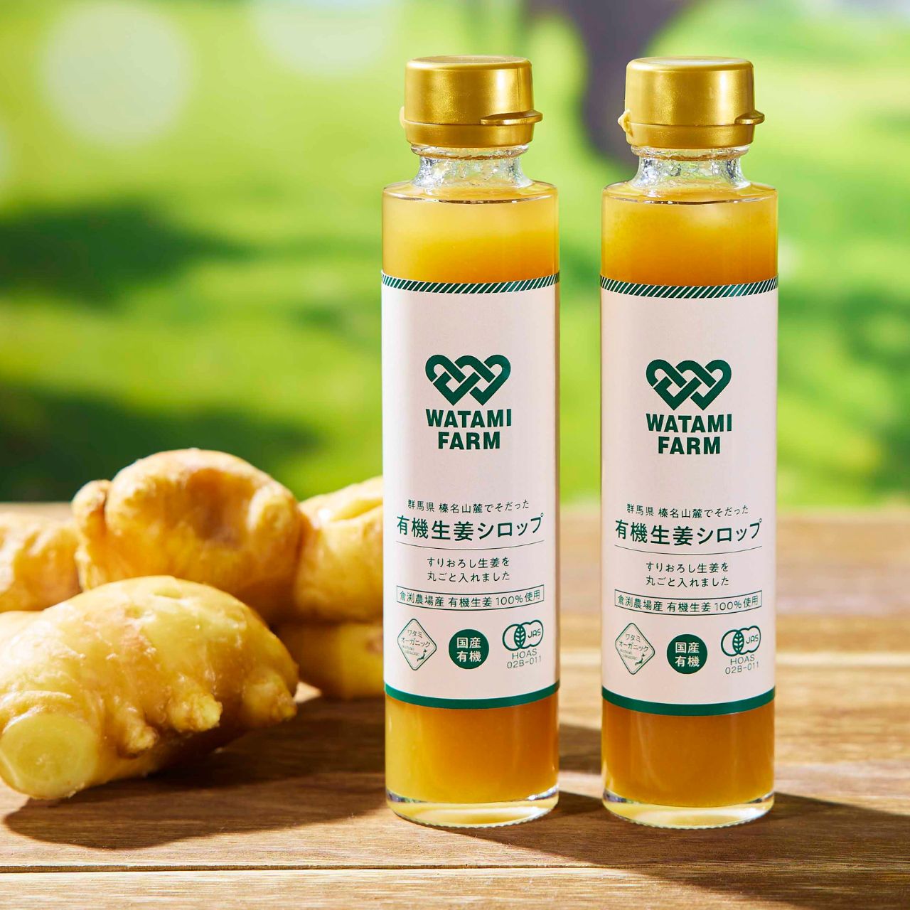 クラフト有機生姜シロップ（１本225g）