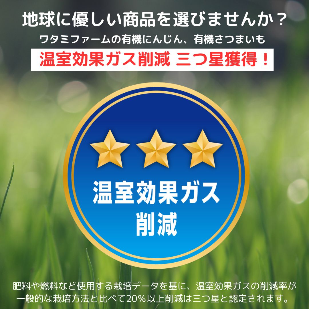 人参ジュース飲み比べセット（1000ml×2本）