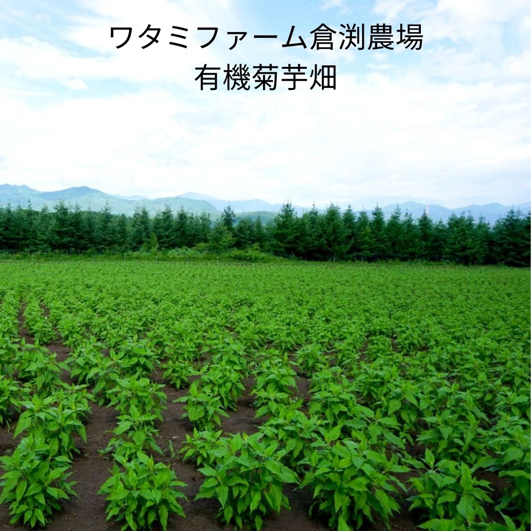 有機菊芋茶5包×３袋