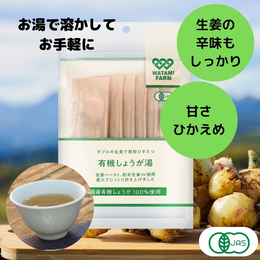 有機しょうが湯（10本入）