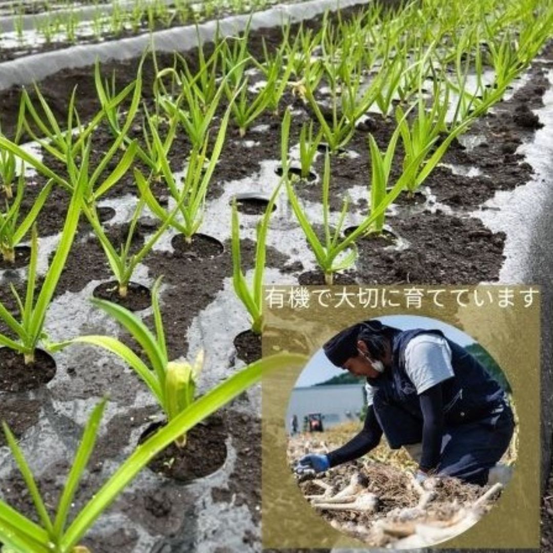 有機黒にんにく　（バラ）  80g