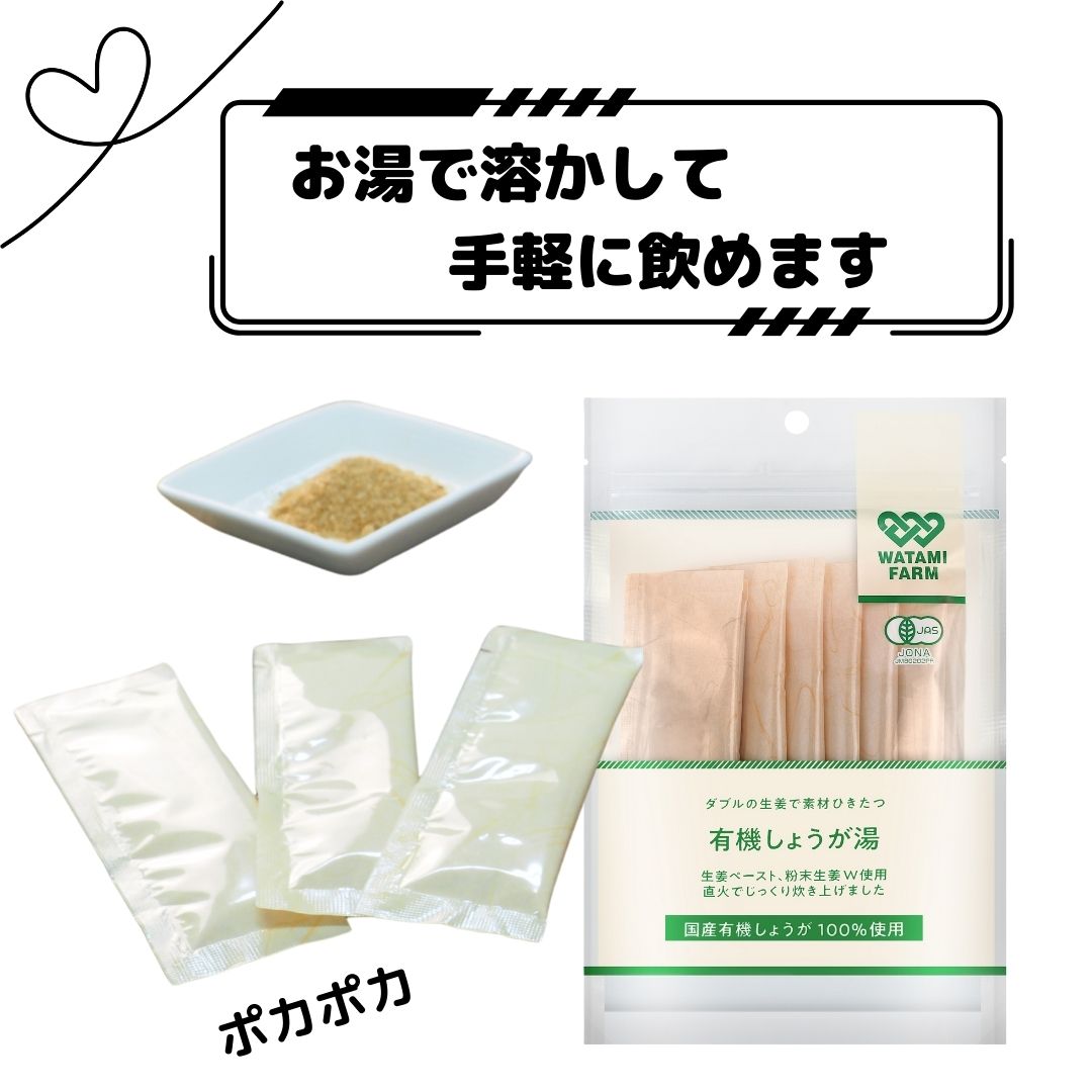 有機しょうが湯（10本入）