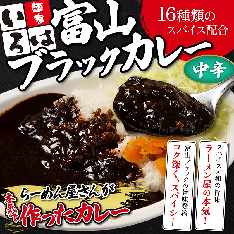 富山ブラックカレー 6食セット