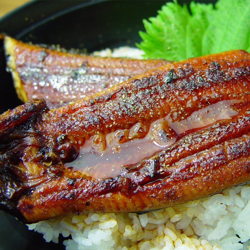 【高知】四万十味紀行 うなぎ蒲焼２尾 130g×2 熨斗対応可 産地直送 お取り寄せ	