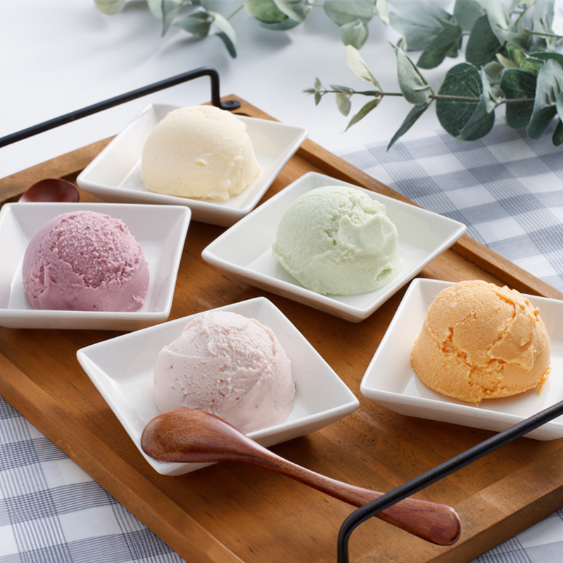 【北海道】乳蔵 北海道アイスクリーム5種5個（江戸屋） 産地直送 お取り寄せ 熨斗対応可