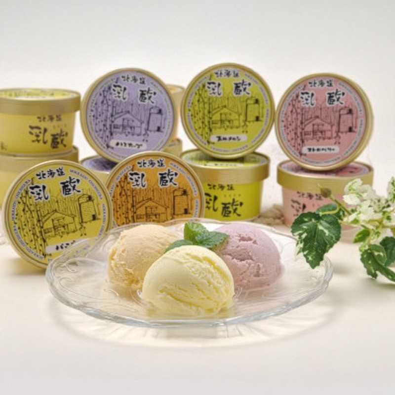 【北海道】乳蔵 北海道アイスクリーム5種10個（江戸屋） 産地直送 お取り寄せ 熨斗対応可