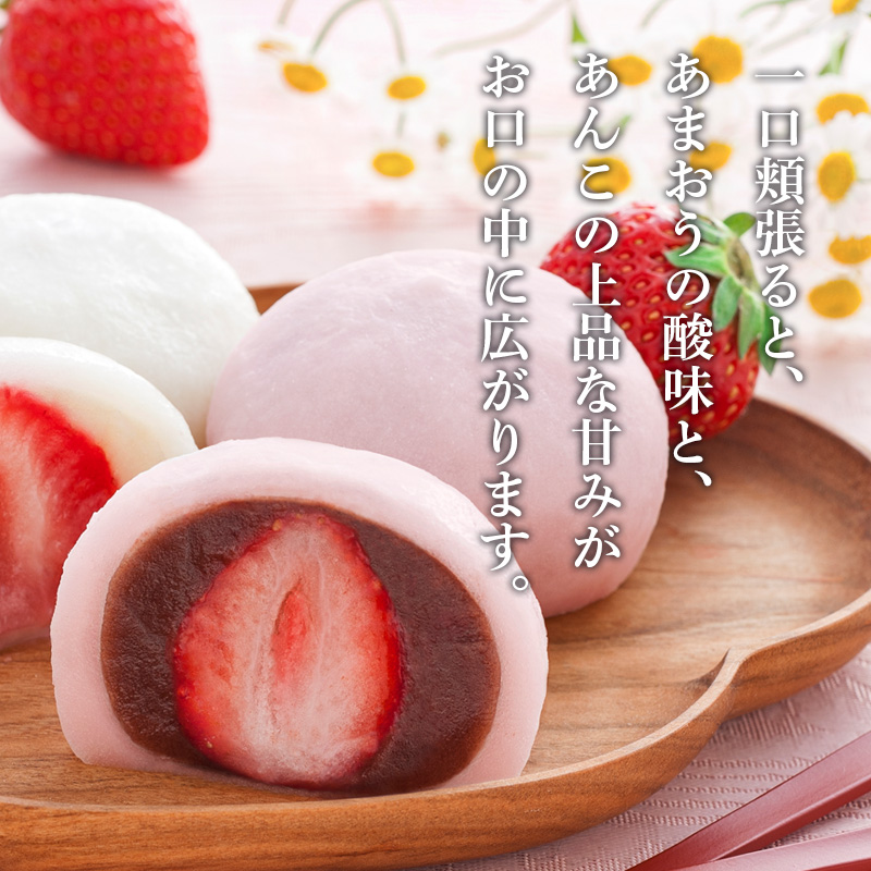 【父の日】京都 養老軒 博多あまおう まるごと苺大福（F-YF-MB）メッセージブーケ付【受注締切：6月16日(火)】