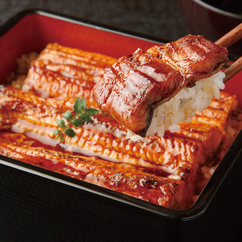 【静岡】浜松・浜名湖  うなぎ蒲焼2人前 長焼き 産地直送 お取り寄せ 熨斗対応可