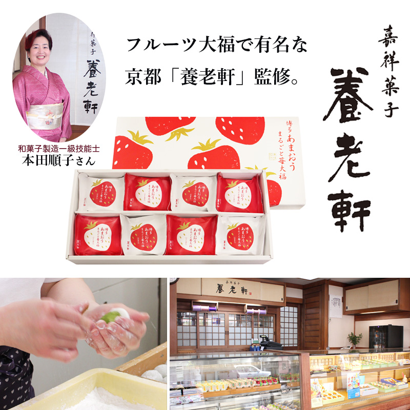 京都 養老軒 博多あまおう まるごと苺大福 (YF-MB) 産地直送 お取り寄せ 熨斗対応可	