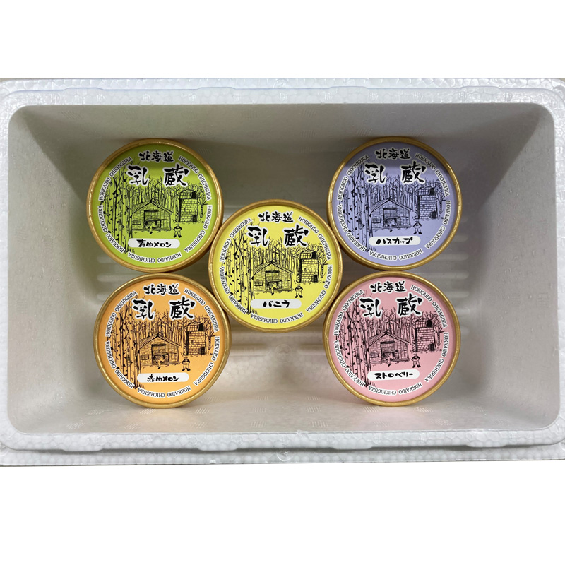 【北海道】乳蔵 北海道アイスクリーム5種5個（江戸屋） 産地直送 お取り寄せ 熨斗対応可