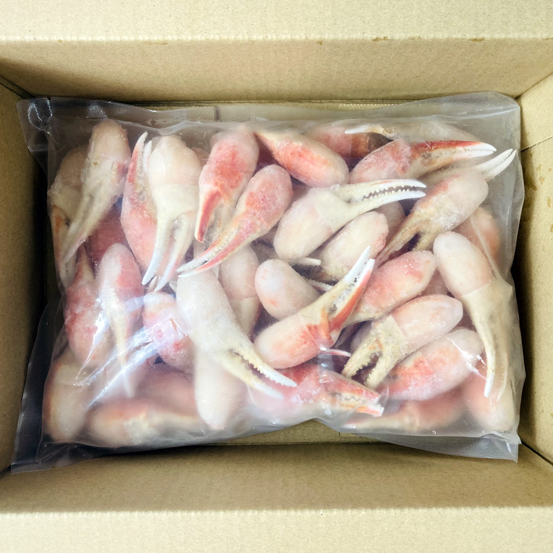 ボイルずわいかに爪 1kg お取り寄せ 熨斗対応可【10月26日以降お届け】