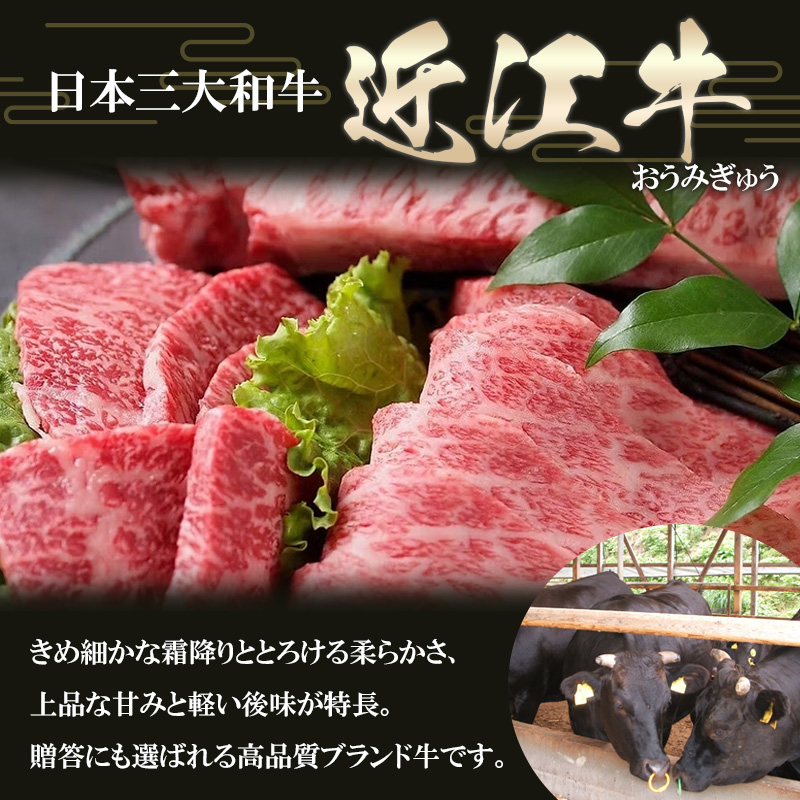 滋賀県 徳志満 近江牛ロースすき焼きしゃぶしゃぶ用 500g
