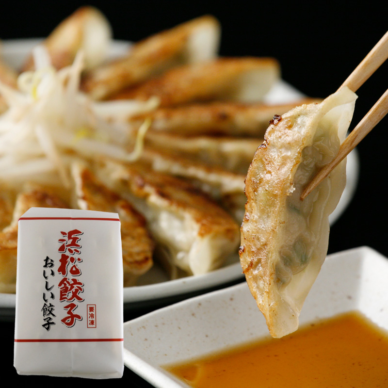 【静岡】特選浜松餃子 45個 産地直送 お取り寄せ 熨斗対応可	