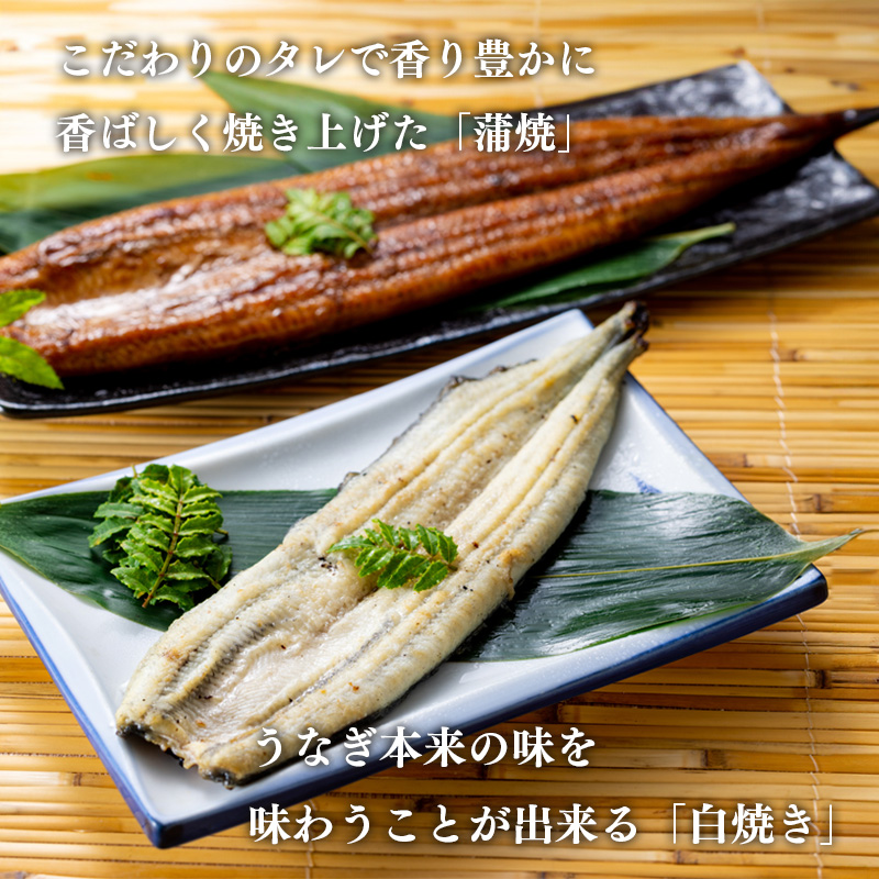 【静岡】浜松・浜名湖  うなぎ蒲焼白焼2人前 長焼き 産地直送 お取り寄せ 熨斗対応可