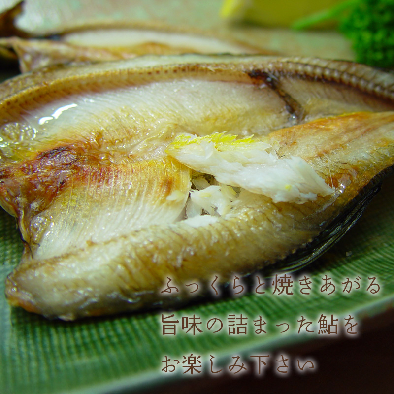 【高知】四万十味紀行 鮎の一夜干し 6尾 熨斗対応可 産地直送 お取り寄せ