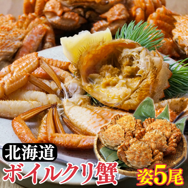 北海道 ボイルクリガニ姿 200g×5杯 産地直送 お取り寄せ 熨斗対応可【10月26日以降お届け】