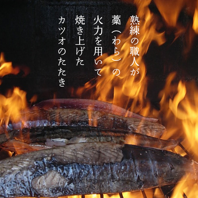【高知】四万十生産 土佐流 藁（わら）焼き鰹のたたき 600g 5～6人前サイズ  熨斗対応可 産地直送 お取り寄せ