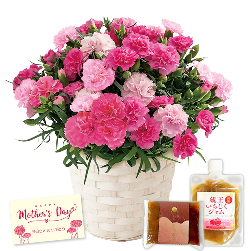 【母の日】カーネーション（ホットハート） 母の日カード付【受注締切：4月30日(木)】